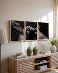 Midnight Panels - Set of 3