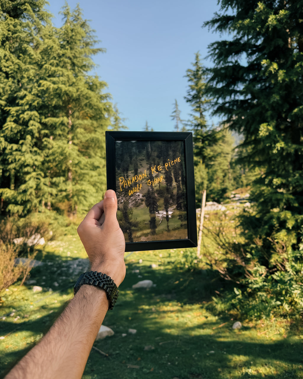 Nature’s Notes
