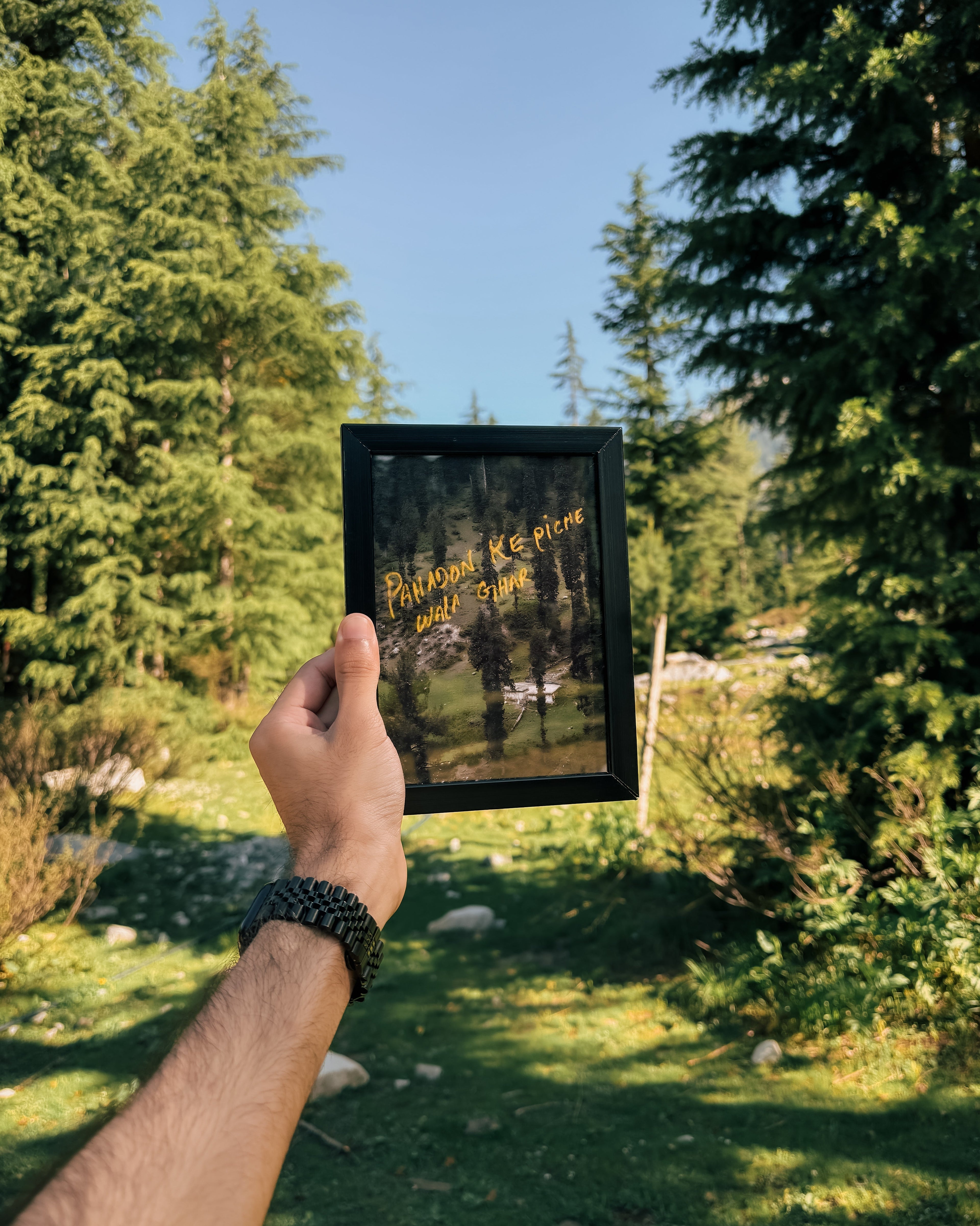 Nature’s Notes