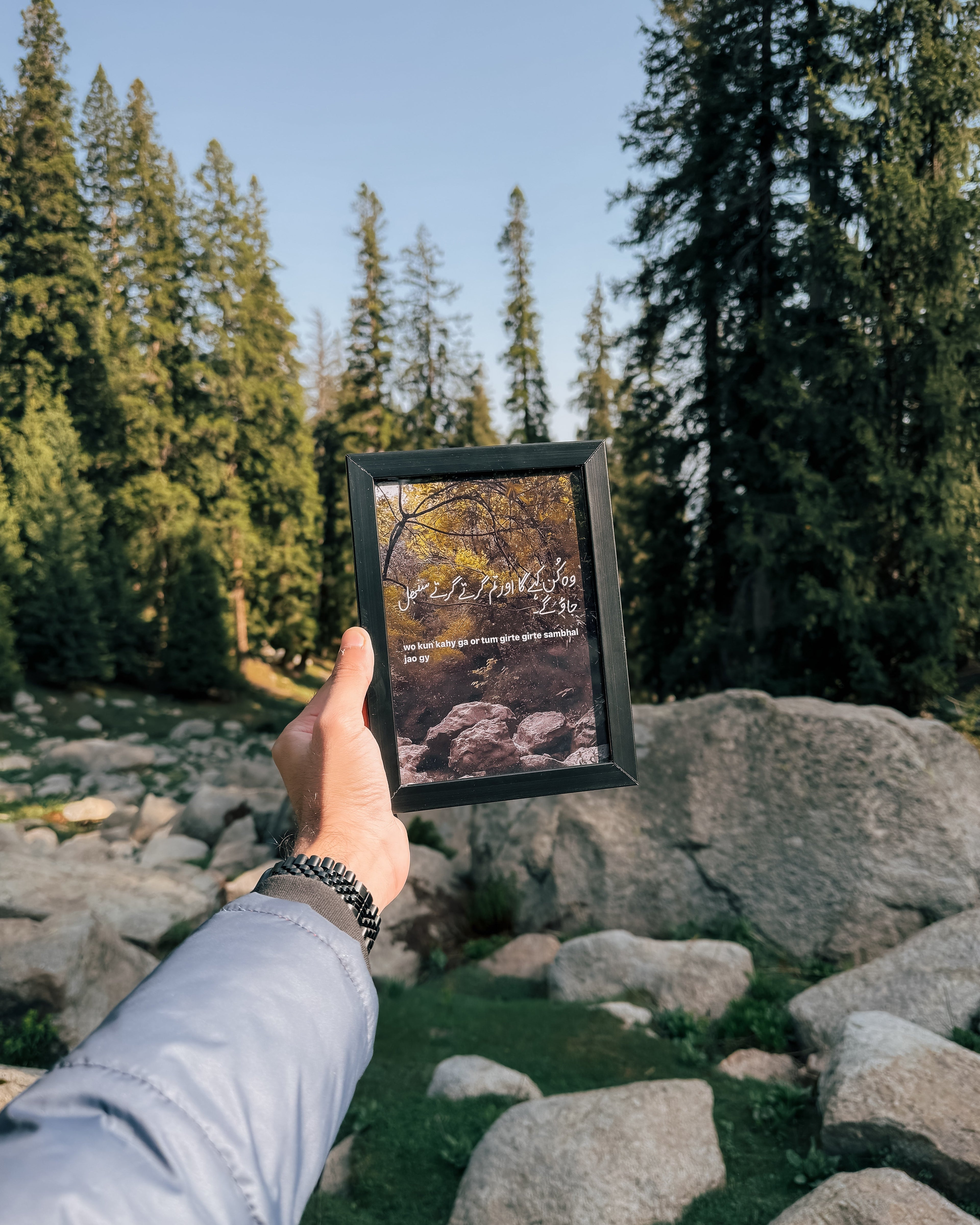 Nature’s Notes